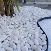 Pedra Branca para Jardim - seixo polido (Dolamita)